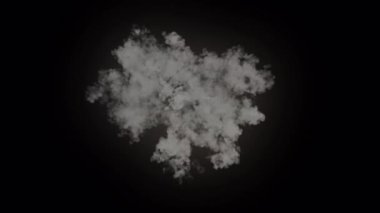 Canlandırılmış Ateş Efekti VFX Renkli Çeşitlilik ve Parıltı Efekti