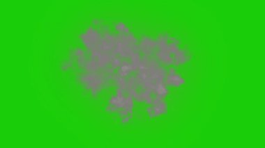 Canlandırılmış Ateş Efekti VFX Renkli Çeşitlilik ve Parıltı Efekti