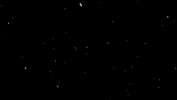 Copia Copos Nieve Borrosa Lazo Sin Costuras Animación Limpia Negro — Vídeo de stock