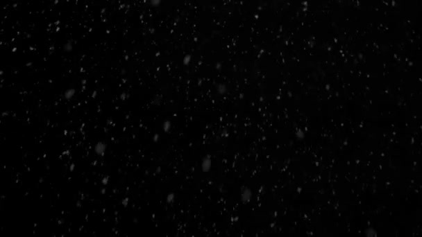 Płynna Pętla Niewyraźne Płatki Śniegu Czystej Czarnej Animacji Kopiowania Przestrzeni — Wideo stockowe