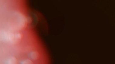 Film Yanık Görüntüleri, Işık Sızıntıları ve Lens Fişekleri - Birleşme, Şekillendirme Videoları ve Geçişler İçin Hızlı Klipler