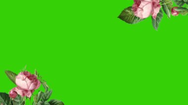 El yapımı Yapraklar ve Çiçeklerle Zarif Çiçek Animasyonu