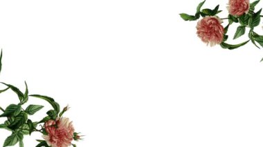 El yapımı Yapraklar ve Çiçeklerle Zarif Çiçek Animasyonu