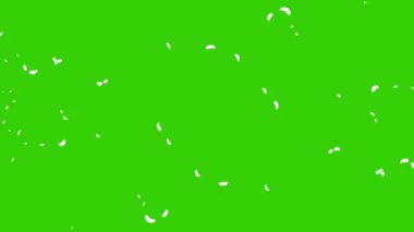 Yeşil Ekran Arkaplanında Çizgi Film Duman Canlandırma Döngüsü - Görüntü Elementi Efekti