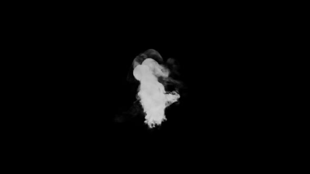 Explosión Violenta Con Fuego Corta Duración Nube Humo Pantalla Negra — Vídeo de stock