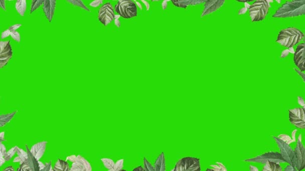 Рамка Зеленого Листя Ізольована Фоні Зеленого Екрану — стокове відео