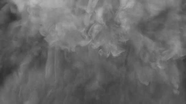 绿幕背景下的烟雾雾烟雾蒸气转换 Luma Matte烟雾转换射击 — 图库视频影像
