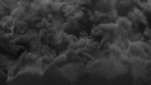 黑屏背景下的烟雾雾雾化蒸气转换 — 图库视频影像