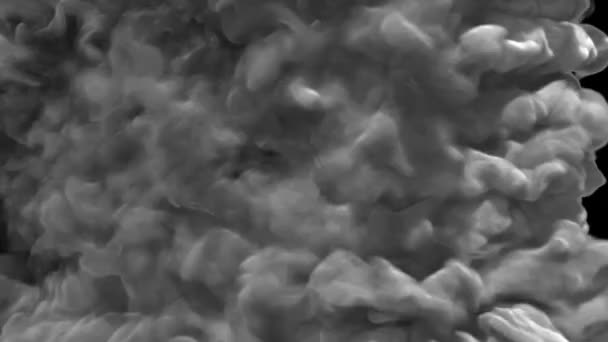 Паровий Перехід Диму Туману Чорному Екрані — стокове відео