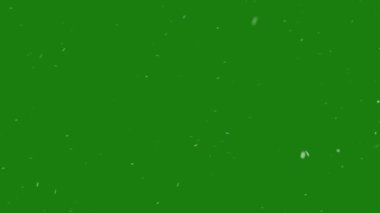Yeşil Ekran Alfa 'da izole edilmiş halkalı kar taneleri düşüyor. Yılbaşı Kar Döngüsü Efekti, Yeşil Ekranda Yavaşça Düşüyor