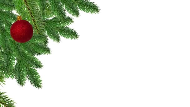 Νέο Έτος Φόντο Όμορφο Χριστουγεννιάτικο Δέντρο Γκρο Πλαν Λευκό Φόντο — Αρχείο Βίντεο