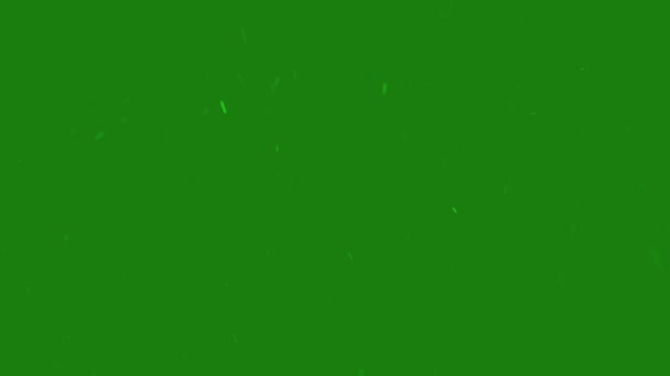 Цикл Падения Снежинки Изолирован Зеленом Экране Альфа Эффект Рождественской Петли — стоковое видео