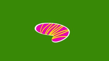 Moda Organik Şekil Patlaması - Yeşil Ekran Arkaplanındaki Birincil Renklerde Canlı Soyut Hareket. Yaratıcı Çizim Cesur Görsel Deneyimler İçin Dinamik Canlandırmayla Karşılaşıyor.