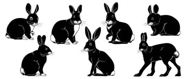 Rabbits Silhouettes. Vector cliparts isolated on white.