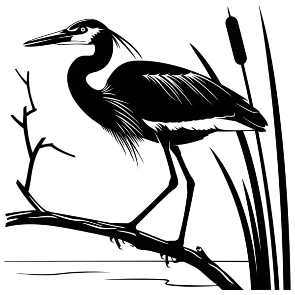 Силуэт Цапли Стоящий Ветке Черно Белый Трафаретный Вектор Птица Ветвь — стоковый вектор