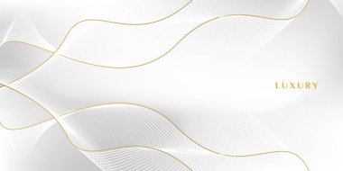 Minimalist beyaz gri gradyan arkaplan arkaplanlı soyut beyaz altın çizgisi, posterler, afişler, ödüller, reklamlar, broşürler, el ilanları, web siteleri için uygun.