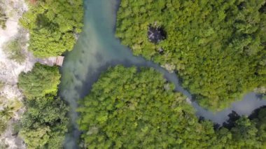 Nehir boyunca SUP sörfü yapabileceğiniz küçük bir nehri olan ormanın üst manzarası. Su sporları ve doğa aktiviteleri.