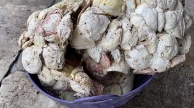 Lastik bardak yığını fabrikada daha fazla kullanılmak üzere hazırlanıyor. Lastik endüstrisi hammaddeleri hazırlıyor..