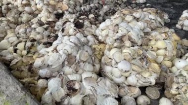 Lastik bardak yığını fabrikada daha fazla kullanılmak üzere hazırlanıyor. Lastik endüstrisi hammaddeleri hazırlıyor..