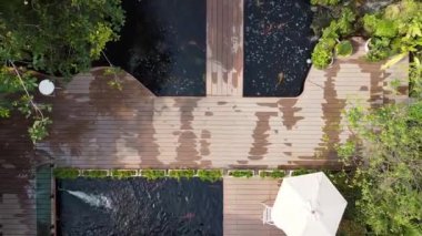 Bahçedeki ahşap köprünün üstünde bir koi havuzu ve yeşil ağaçlar var.