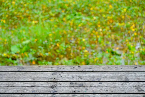 Arka planda nilüfer havuzlu ahşap zemin, yeşil çimenler. Yeşil arkaplan resmi.