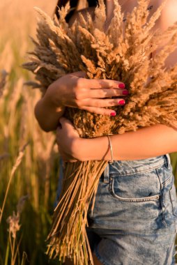 Cropped image of young woman holding spikelets in wheat field.