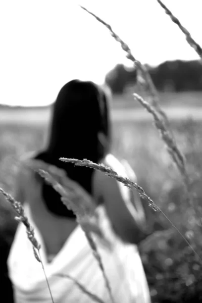 Buğday tarlasında güzel bir kızın silueti, siyah beyaz