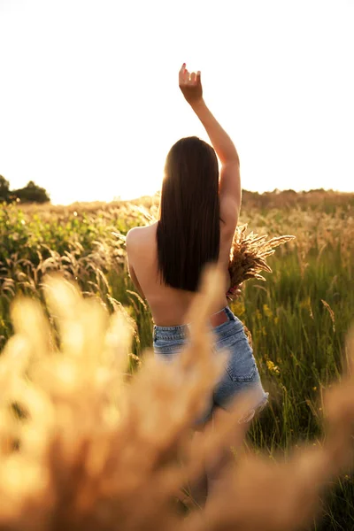 Back view of young woman in wheat field at sunset, back view
