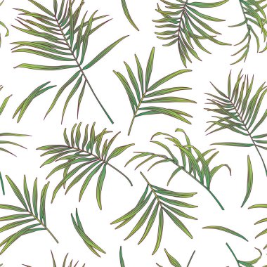 Areca palmiye yapraklı vektör tropikal desen. Duvar kağıdı, kumaş, tekstil, ambalaj kağıdı, kapak, paket.