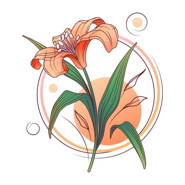 Zambak çiçeğinin vektör çizimi. Lily 'nin parlak kompozisyonu, yapraklar tasarım, kart, poster, çiçekçi dekorasyonu.