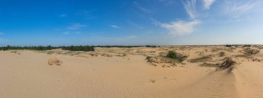 Oleshkiv kumlarının merkez kısmının panoramik görüntüsü - Kherson şehri yakınlarındaki Ukrayna çölü. Ukrayna