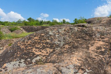 Ukrayna 'nın Mykolaiv Oblastı bölgesindeki Arbuzynsky kanyonundaki Trykraty köyü yakınlarındaki Arbuzynka nehri üzerindeki taş dokusu