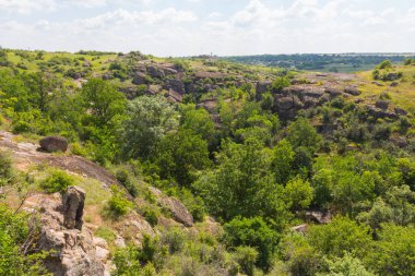 Arbuzynsky kanyonu, Ukrayna 'nın Mykolaiv Oblastı' nın Voznesenskyi bölgesinde Arbuzynka nehri kıyısındaki Trykraty köyü yakınlarında bulunan bir kanyondur.