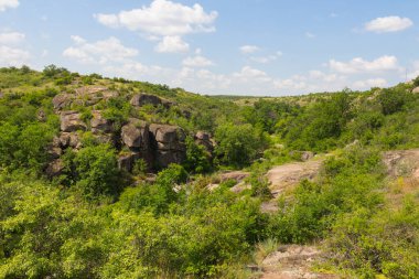 Arbuzynsky kanyonu, Ukrayna 'nın Mykolaiv Oblastı' nın Voznesenskyi bölgesinde Arbuzynka nehri kıyısındaki Trykraty köyü yakınlarında bulunan bir kanyondur.