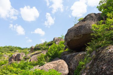 Ukrayna 'nın Mykolaiv Oblastı' nın Voznesenskyi bölgesindeki Arbuzynka nehri yakınlarındaki Trykraty köyü yakınlarındaki Arbuzynsky kanyonunda büyük pürüzsüz taşlar.