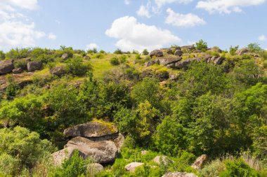 Arbuzynsky kanyonu, Ukrayna 'nın Mykolaiv Oblastı' nın Voznesenskyi bölgesinde Arbuzynka nehri kıyısındaki Trykraty köyü yakınlarında bulunan bir kanyondur.