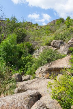 Ukrayna 'nın Mykolaiv Oblastı' nın Voznesenskyi bölgesindeki Arbuzynka nehri yakınlarındaki Trykraty köyü yakınlarındaki Arbuzynsky kanyonunda büyük pürüzsüz taşlar.