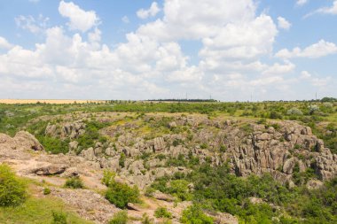 Aktove Kanyonu, Ukrayna 'nın Mykolaiv Oblastı bölgesinde, Mertvovod nehri üzerinde Aktove köyü yakınlarında yer alan bir kanyondur.