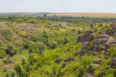 Aktove Kanyonu, Ukrayna 'nın Mykolaiv Oblastı bölgesinde, Mertvovod nehri üzerinde Aktove köyü yakınlarında yer alan bir kanyondur.
