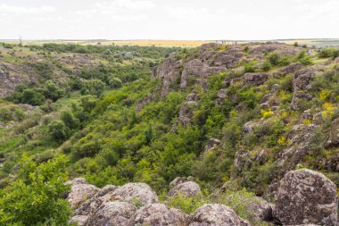 Aktove Kanyonu, Ukrayna 'nın Mykolaiv Oblastı bölgesinde, Mertvovod nehri üzerinde Aktove köyü yakınlarında yer alan bir kanyondur.