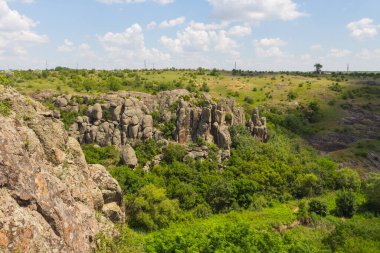 Aktove Kanyonu, Ukrayna 'nın Mykolaiv Oblastı bölgesinde, Mertvovod nehri üzerinde Aktove köyü yakınlarında yer alan bir kanyondur.