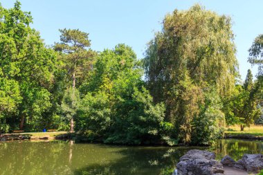 Güzel bir Pondon eşsiz Askania Nova rezervinin dendroloji bahçesi. Kherson bölgesi. Ukrayna.