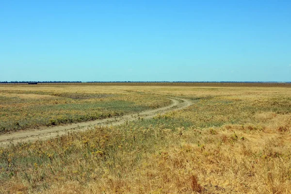 Una Vista Estepa Ucraniana Territorio Reserva Natural Nacional Askania Nova Fotos De Stock