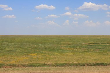 Ukrayna bozkırının ulusal doğa koruma alanı üzerindeki görüntüsü 