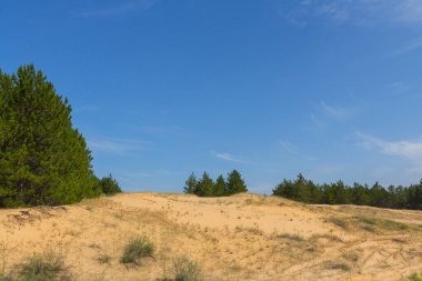 Oleshkiv kumlarının manzarası - Kherson şehrinin yakınındaki Ukrayna çölü. Ukrayna