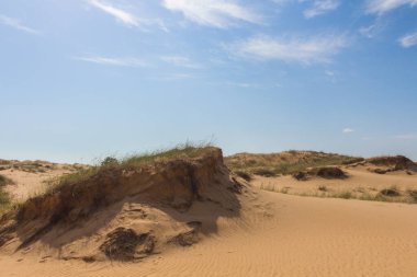 Oleshkiv kumlarının manzarası - Kherson şehrinin yakınındaki Ukrayna çölü. Ukrayna