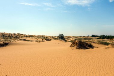 Oleshkiv kumlarının manzarası - Kherson şehrinin yakınındaki Ukrayna çölü. Ukrayna