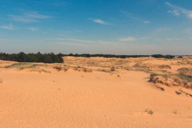 Oleshkiv kumlarının manzarası - Kherson şehrinin yakınındaki Ukrayna çölü. Ukrayna