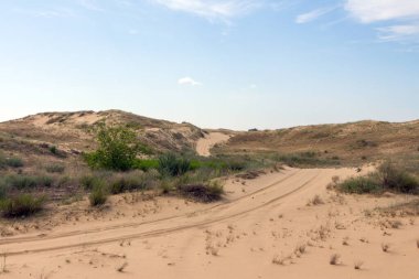 Oleshkiv kumlarının manzarası - Kherson şehrinin yakınındaki Ukrayna çölü. Ukrayna