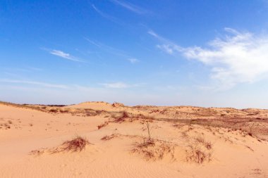 Oleshkiv kumlarının manzarası - Kherson şehrinin yakınındaki Ukrayna çölü. Ukrayna